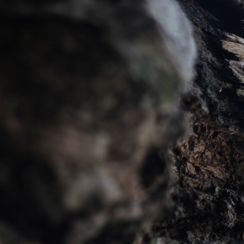 Malka Older – The Divided – Part 7/9 disquiet0400