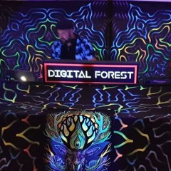 Dynamic Illusion @ DIGITAL FOREST 2019 [Chill Stage]