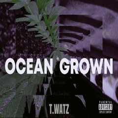 (MIXEDBYT) OCEAN GROWN (PROD BY T.WATZ)