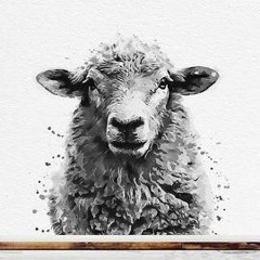 countin' sheep FREESTYLE (prod. marjanen)