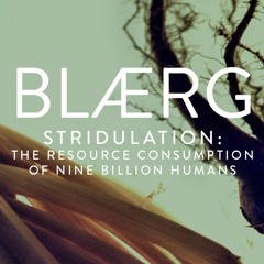 BLÆRG - Relentless Optimism