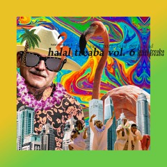 Halal Treabă Vol. 6 (Electro-Cumbia edition)