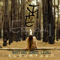 ELEVATION 3 - Martin Leoni (Track 3 off ESENCIAL 1)