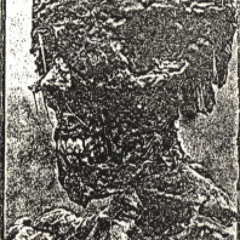 Vulgar Necrolatry