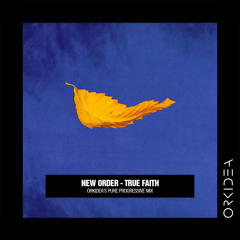 New Order - True Faith (Orkidea Pure Progressive Mix)