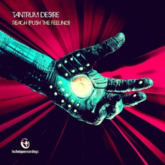 Tantrum Desire - Reach (The Prototypes remix)