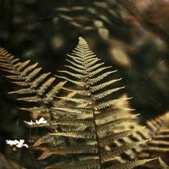 Tell the Truth (w/ Spade Brooks)