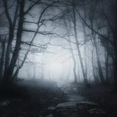 What Would You Do When They Come For You?