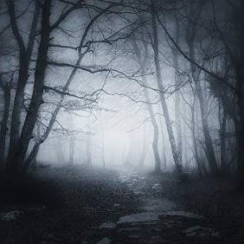 What Would You Do When They Come For You?