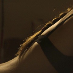 I Can See You Frown By The End Of Day