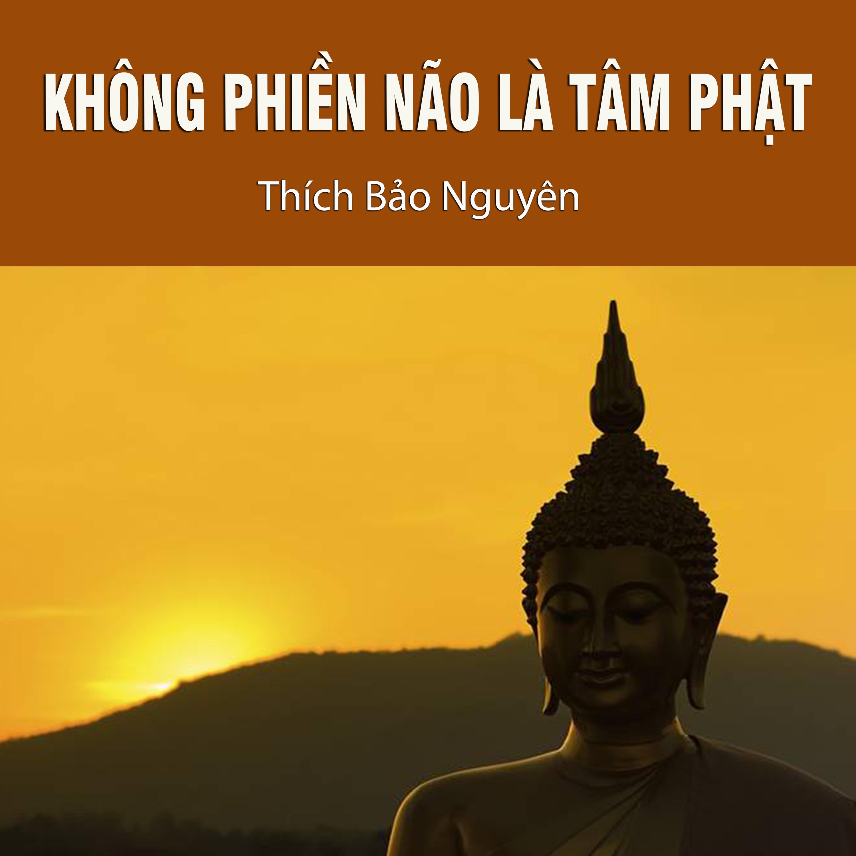 Không Phiền Não Là Tâm Phật episode artwork