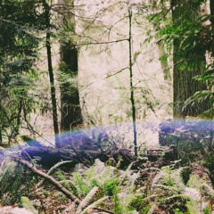 Im Not Perfect ft. Cory Blyther