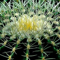 Malka Older – The Divided – Part 5/9 disquiet0400