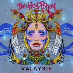 The Hoy Polloy - All I Need (feat. Ariel Morer)