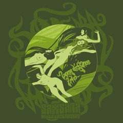 Samsara Blues Experiment - Long Distance Trip - 03 For The Lost Souls