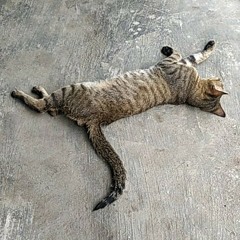 PARCUMA (BETA SUSAH DI RANTAU) - Cover Akustik