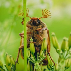 Darren Styles - Switch (Furyan KickFix)