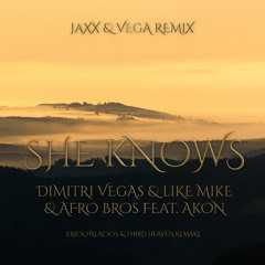 She Knows (Jaxx & Vega Remix) - Dimitri Vegas & Like Mike & Afro Bros Feat. Akon
