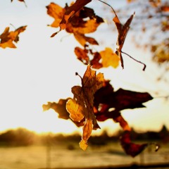 Trust the Cycle of Change - let the current take you