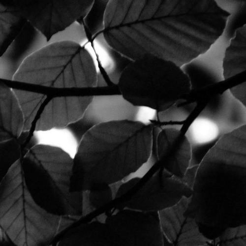 Stream Sub Urban Cradles [NCS Release].mp3 by Candy Gamer622 Listen