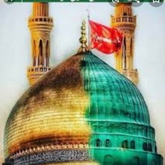 Farhan Ali Waris Nohay 2019 _ Nana Rab Kay Wasty