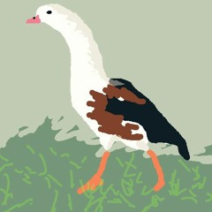 La fête aux canards