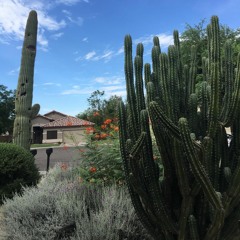 Giọt Nước Mắt Anh, Không Thể Rơi