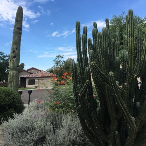 Giọt Nước Mắt Anh, Không Thể Rơi