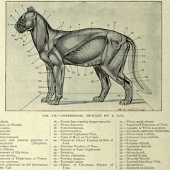 The Man Who Woke Up (excerpts)