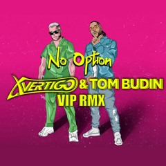DJ Snake & Burna Boy - No Option (X-VERTIGO & TOM BUDIN VIP REMIX)
