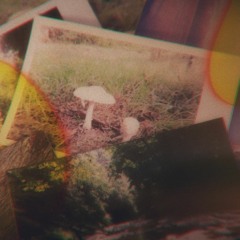 sept 19