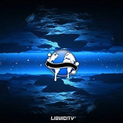 Liquicity Festival 2019 (mixed by Phil Gin)