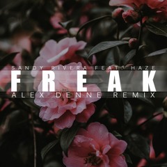Sandy Rivera Feat. Haze - Freak (Alex Denne Remix)