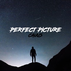 CAUUS - PERFECT PICTURE