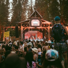 Meow Mix | Living Room Shambhala 2019
