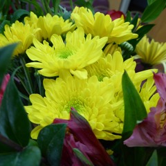 God Wants His Church Back - Part II