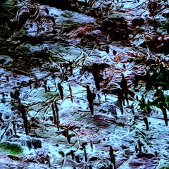 This Is An Invitation To The Frequency of Evolution