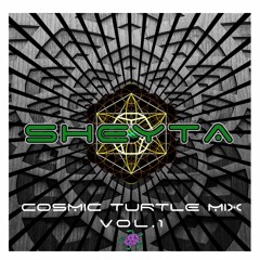 Cosmic turtle mix (vol 1)