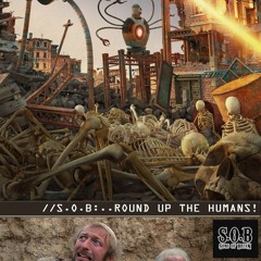 Round up the humans (This is the system) Radio Edit