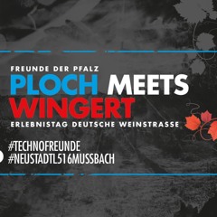 Ploch Festival 2019 - OpenAir - FREE DOWNLOAD