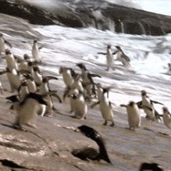 All Times - Geht immer