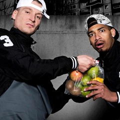 LX Ft. Maxwell - Laserpointer (feat. Bonez MC) (royalflushRMX)