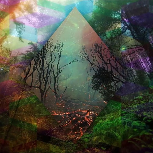 Secrets Of The Undergrounds (Forest Set)