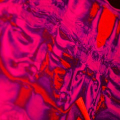 Velvet Curtain