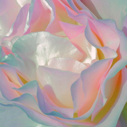 Still Into You Remix (Summer Demo 2)