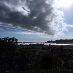 Improvisaciones en Isla Negra - II / Improvisations at Isla Negra - II
