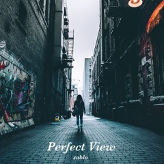 Perfect View [prod. Callan]