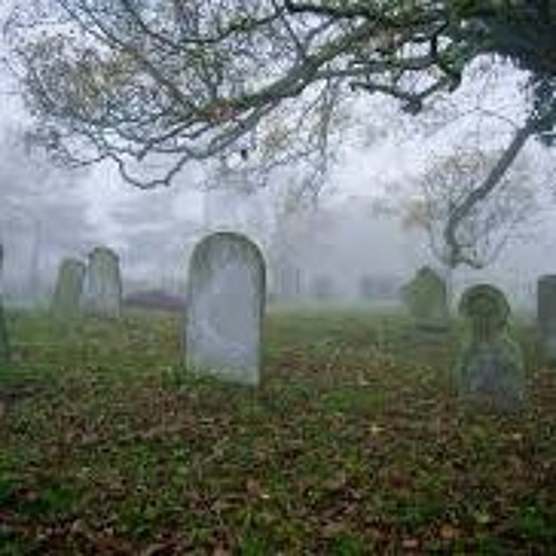 Prequel To Who Killed It Pt II