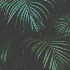 Chill🌴