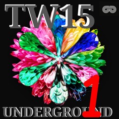 TW15 Underground Vol 1 (Promo Mix)